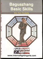 Bagua Basic Skills DVD