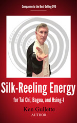 silk reeling energy kindle ebook